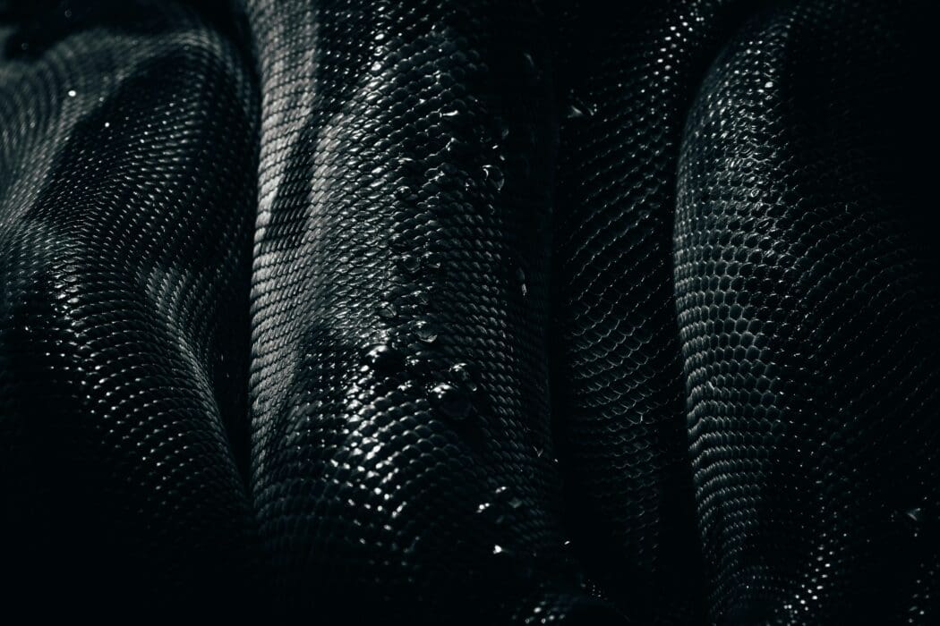 Dark, glistening snake-like scales close up, echoing the serpent's temptation of Eve in the garden.